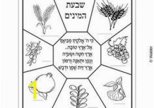 7 Species Of israel Coloring Page the 7 Species Date Fig Olive Pomegranate Grape