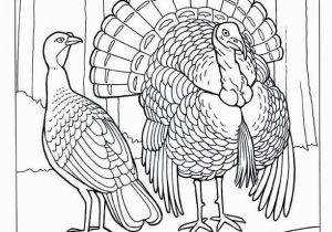 A Turkey for Thanksgiving Coloring Pages Thanksgiving Coloring Pages Fresh S S Media Cache Ak0 Pinimg