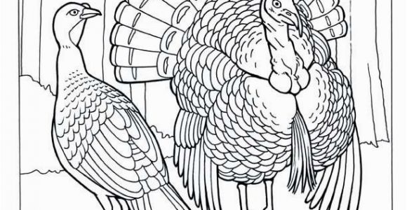 A Turkey for Thanksgiving Coloring Pages Thanksgiving Coloring Pages Fresh S S Media Cache Ak0 Pinimg