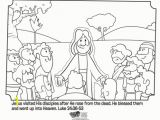 Acts Of the Apostles Coloring Pages Jesus Appears to His Disciples Bible Coloring Pages