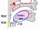 Adam &amp; Eve Coloring Pages æ··å£°åå±å£ Voxmea