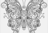 Adult Coloring Page butterfly butterfly Coloring Pages Free to Print at Coloring Pages