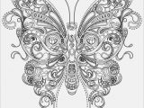 Adult Coloring Page butterfly butterfly Coloring Pages Free to Print at Coloring Pages