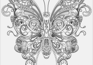 Adult Coloring Page butterfly butterfly Coloring Pages Free to Print at Coloring Pages