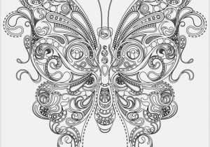 Adult Coloring Page butterfly butterfly Coloring Pages Free to Print at Coloring Pages