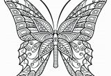 Adult Coloring Page butterfly Coloring Pages Free butterfly Coloringages for Adults