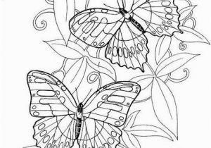 Adult Coloring Page butterfly Hard butterflies Coloring Pages for Adults to Print