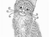 Adult Coloring Pages Kittens 630 Best âadult Colouring Cats Dogs Zentangles Images On Pinterest