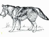 Adult Coloring Pages Of Wolves Dumbfouding Coloring Pages Wolf for Adults Coloring Pages