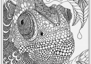 Advanced Coloring Pages Of Animals Advanced Animal Coloring Page Free Printable Awesome Free Animal