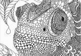 Advanced Coloring Pages Of Animals Advanced Coloring Pages Best Advanced Peacock Coloring Pages New
