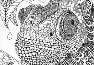 Advanced Coloring Pages Of Animals Advanced Coloring Pages Best Advanced Peacock Coloring Pages New