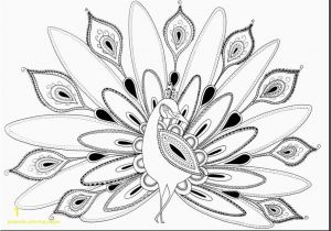 Advanced Coloring Pages Printable Advanced Coloring Pages Best Advanced Peacock Coloring Pages New