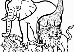 African Animals Coloring Pages for Kids African Animals Coloring Page