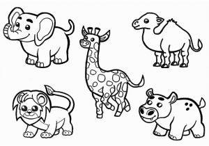 African Animals Coloring Pages for Kids African Animals Coloring Pages for Children