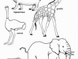 African Animals Coloring Pages for Kids Free Coloring Pages for Children Of Color Non Mercial