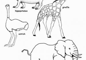 African Animals Coloring Pages for Kids Free Coloring Pages for Children Of Color Non Mercial
