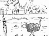African Animals Coloring Pages for Kids Savanna Coloring Pages Coloring Home