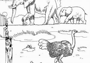 African Animals Coloring Pages for Kids Savanna Coloring Pages Coloring Home