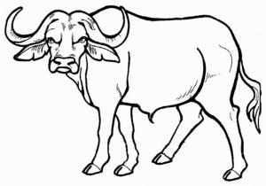 African Animals Coloring Pages for Kids Wild Animal Coloring Pages