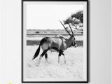 African Safari Wall Murals Safari Animal Print Black and White Antelope Print African Animal