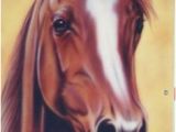 Airbrush Wall Murals 23 Best Horse Wall Murals Images