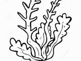 Algae Coloring Pages Algae Coloring Pages