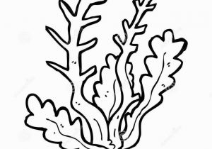 Algae Coloring Pages Algae Coloring Pages