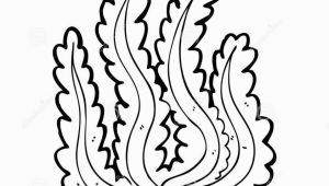 Algae Coloring Pages Algae Coloring Pages