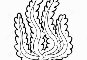 Algae Coloring Pages Algae Coloring Pages