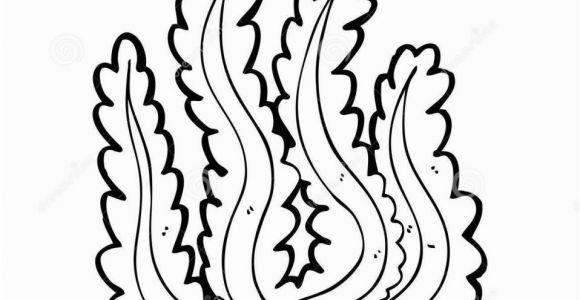 Algae Coloring Pages Algae Coloring Pages