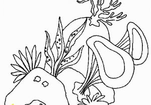 Algae Coloring Pages Luxury Coloring Pages Seaweed Gallery Algae Printable Coloring