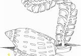 Algae Coloring Pages Sea Snail and Algae Coloring Page
