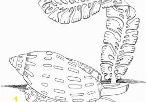 Algae Coloring Pages Sea Snail and Algae Coloring Page