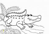 Aligator Coloring Pages Alligator Coloring Pages 107 Best Alligators Pinterest
