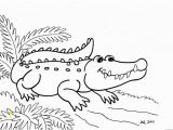 Aligator Coloring Pages Alligator Coloring Pages 107 Best Alligators Pinterest