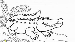 Aligator Coloring Pages Alligator Coloring Pages 107 Best Alligators Pinterest