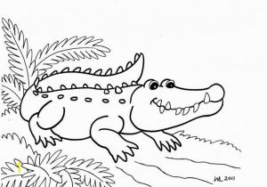 Aligator Coloring Pages Alligator Coloring Pages 107 Best Alligators Pinterest