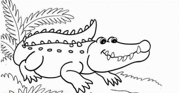 Aligator Coloring Pages Alligator Coloring Pages 107 Best Alligators Pinterest