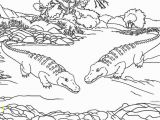 Aligator Coloring Pages American Alligator Coloring Page Elegant Alligator Coloring Pages