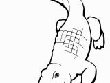 Aligator Coloring Pages American Alligator Coloring Page Lovely Alligator Drawing Step by