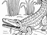 Aligator Coloring Pages Crocodile Coloring Pages to Print