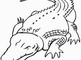 Alligator Gar Coloring Page Alligator Gar Coloring Page Coloring Pages Coloring Pages