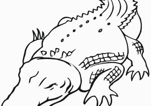 Alligator Gar Coloring Page Alligator Gar Coloring Page Coloring Pages Coloring Pages