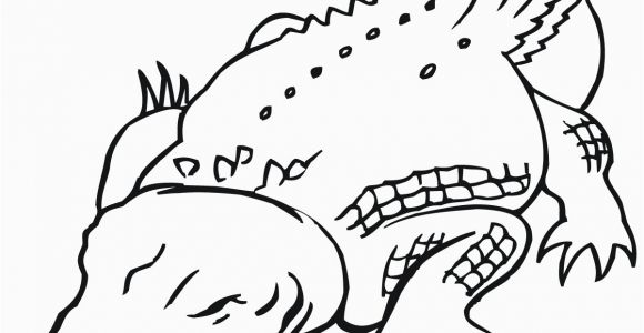 Alligator Gar Coloring Page Alligator Gar Coloring Page Coloring Pages Coloring Pages