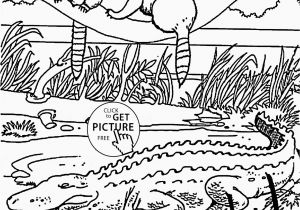 Alligator Gar Coloring Page Alligator Gar Coloring Page Coloring Pages Coloring Pages