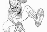 Amazing Spider Man Coloring Sheet the Amazing Spider Man Coloring Pages with Images