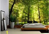 Amazon forest Wall Mural Nice Removable Wall Mural Amazon Wall26 Crowded forest
