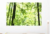 Amazon Wall Stickers and Murals Amazon Wallmonkeys Bamboo Wall Mural Peel and Stick