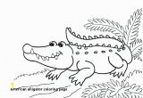 American Alligator Coloring Page 30 American Alligator Coloring Page